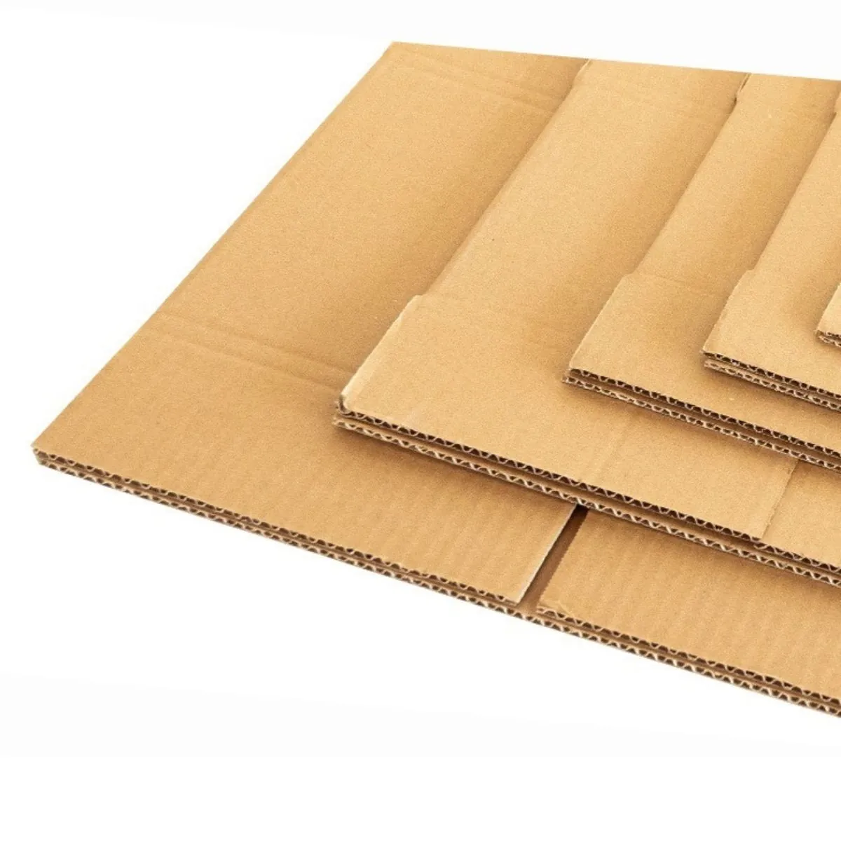 Tin tức mới nhất về bao bì giấy